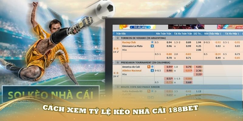 Cách xem tỷ lệ kèo nhà cái 188Bet